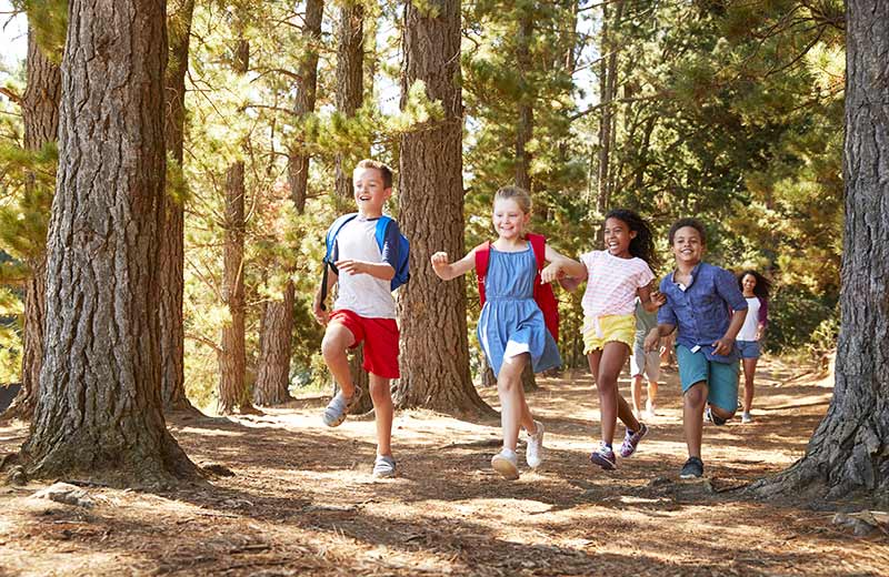 Il sentiero circolare sui pendii soleggiati: “A Soredl” 